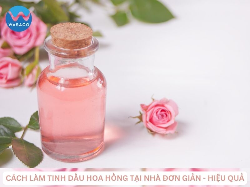 Cách làm tinh dầu hoa hồng tại nhà đơn giản - hiệu quả
